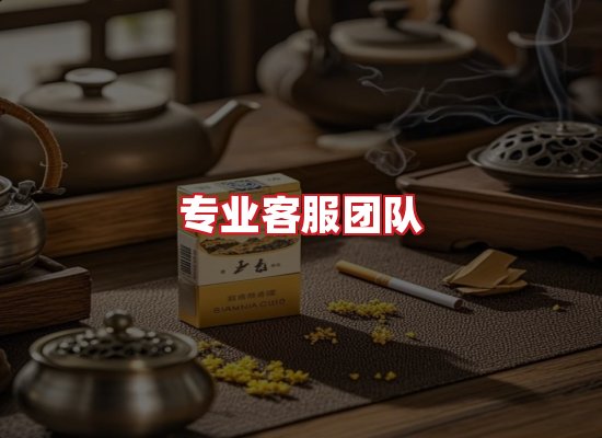 专业团队